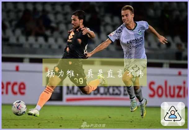 杨力维，真是直言不讳