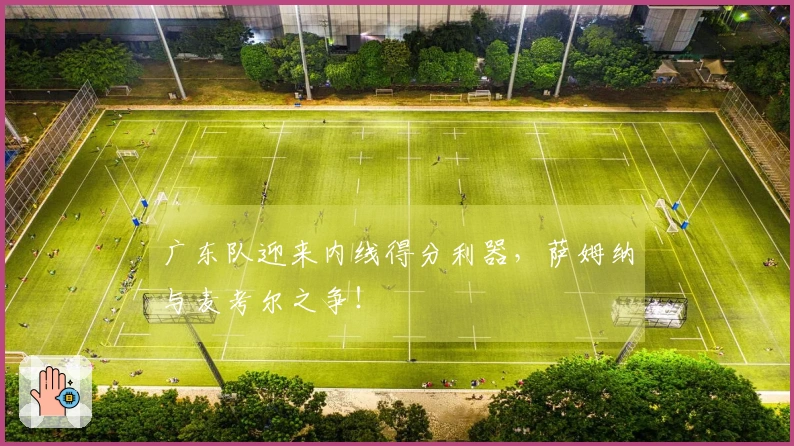 广东队迎来内线得分利器，萨姆纳与麦考尔之争！