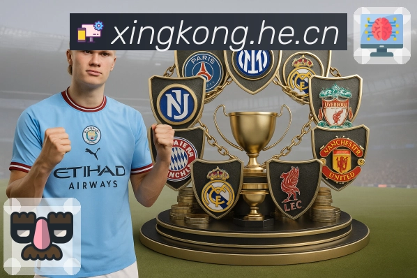 <strong>星空体育app</strong>App 搜索页示例